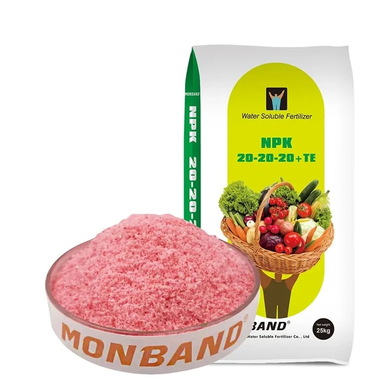 토마토 비료 Npk